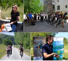 Picturecollection of the cycling event