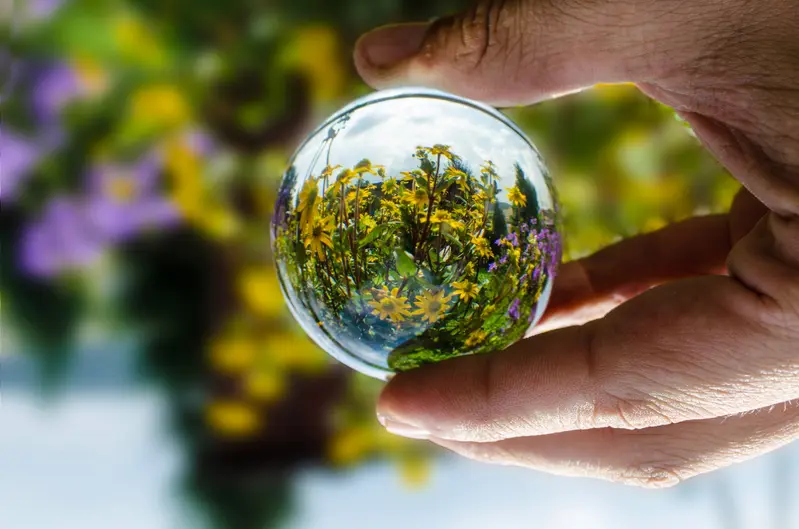 Image: Nature as seen through a glass ball