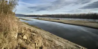 Donauufer mit Schotterinseln