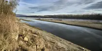 Donauufer mit Schotterinseln
