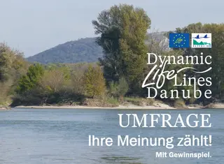Umfrageaufruf Dynamic LIFE Lines Danube