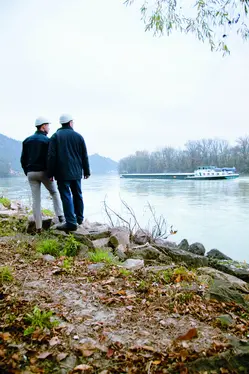 Image: Employees look at the Danube river