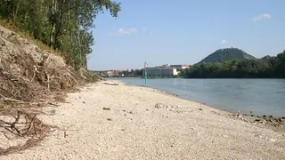 Das neue Donauufer