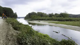 Links Donauuder, Mitte Wasser, rechts Uferverlauf der Schwalbeninsel