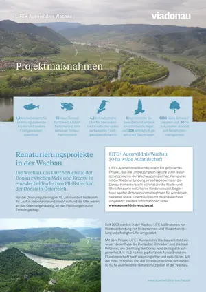 Erste Seite Flyer zu Projekt