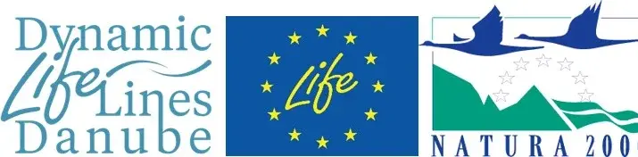 DLLD_Logo_Banner.jpg