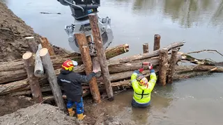 viadonau-Arbeiter errichten eine Buhne