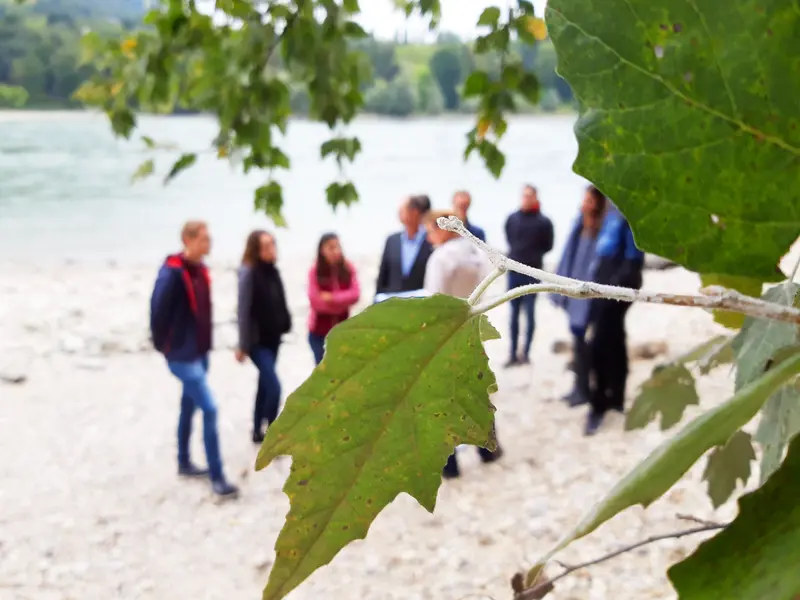 Menschen am Donauufer, im Vordergrund Baumblatt Großaufnahme
