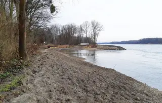 Danube riverbank at the mouth of the Fischa