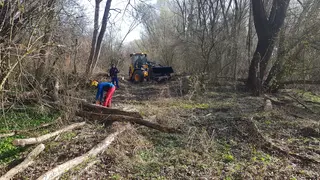 Räumung des Treppelwegs