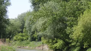 Johler Arm