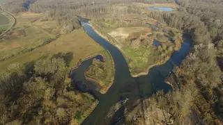 Luftaufnahme von der Thaya mit Mäander