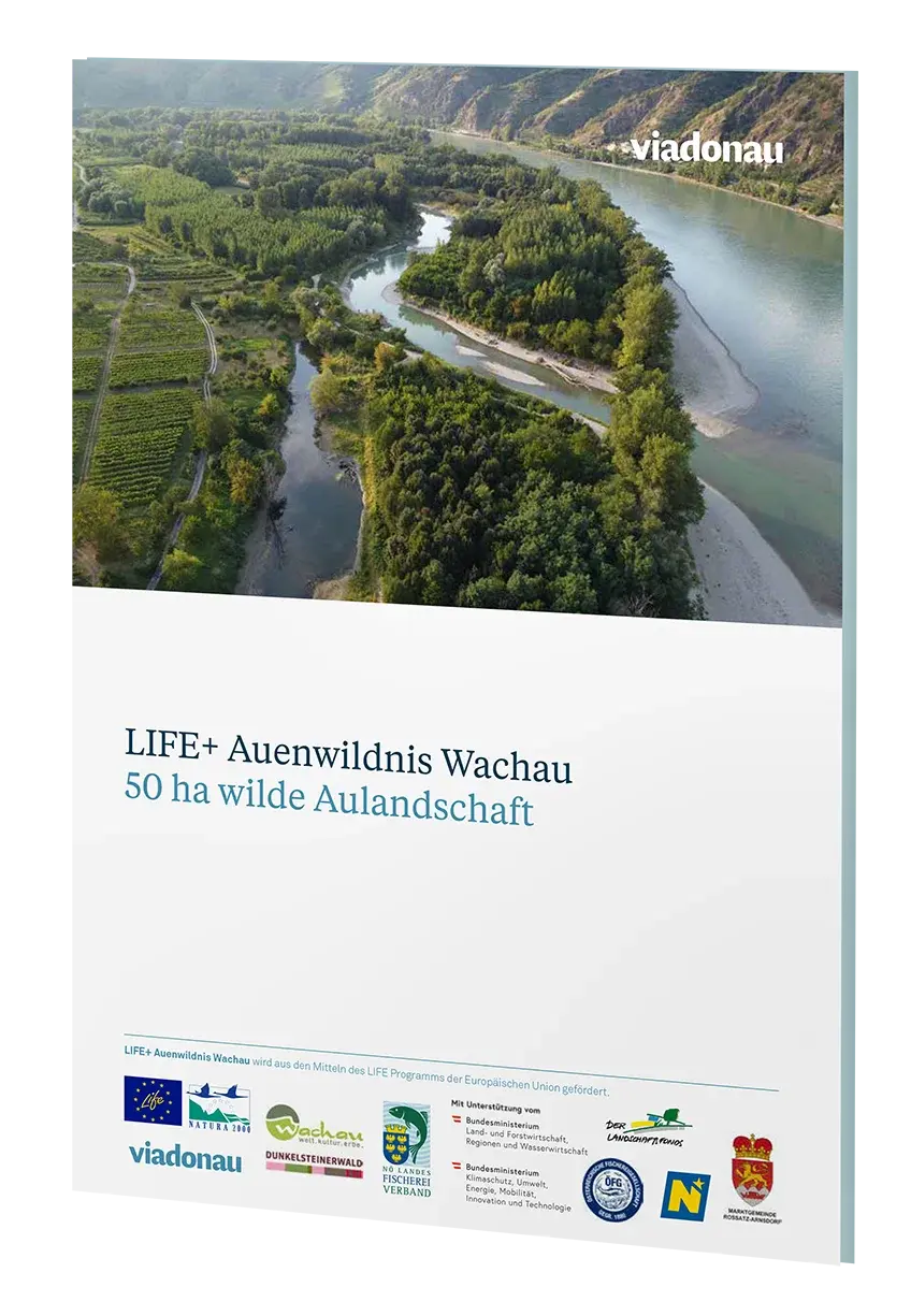 Life Auenwildnis Wachau, Laienbericht, Cover