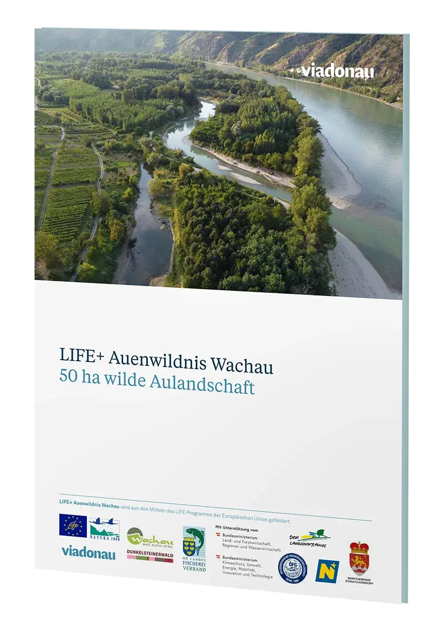 LIFE Auenwildnis Laienbericht, Cover