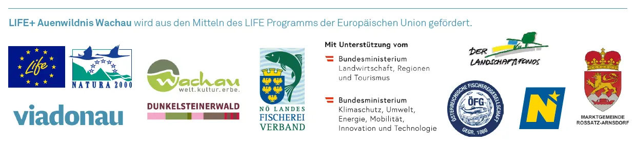 Logoleiste2021.PNG