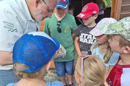 Kleinlebewesen erkunden mit dem Nationalpark