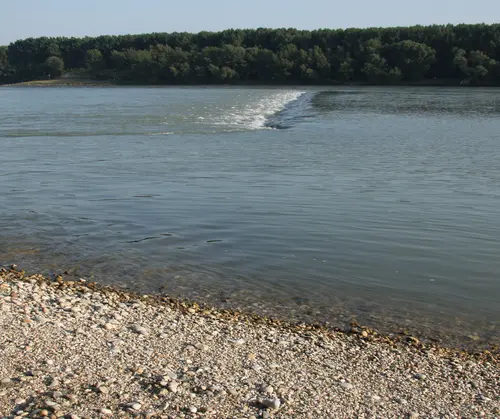 Donau, Ufer und Buhne mit Hinterrinner