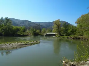 P1015282.JPG