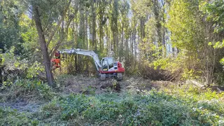 Bagger im Wald