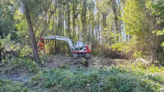Bagger im Wald