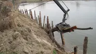 Ecological riverbank stabilisation