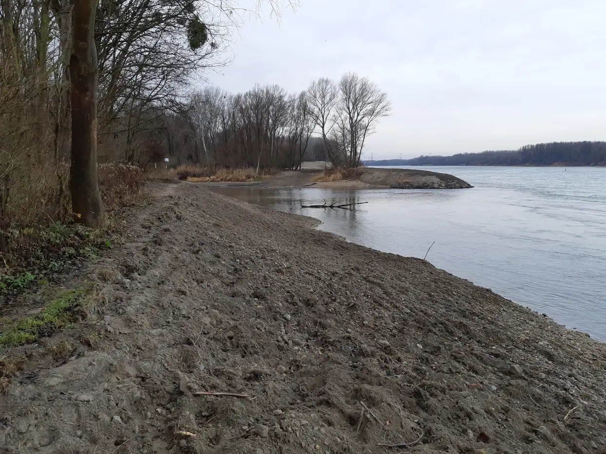 Revitalisiertes Ufer ohne Uferverbauung