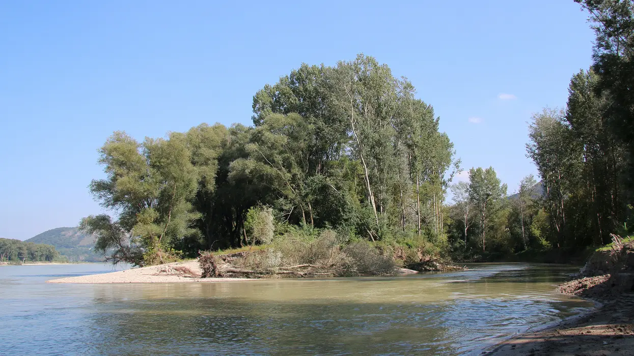 Einlauf Johler Arm