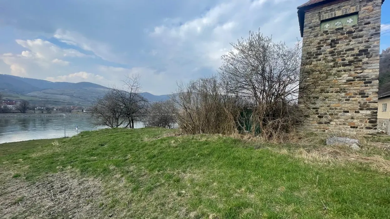 Fläche Obstgarten Kienstock