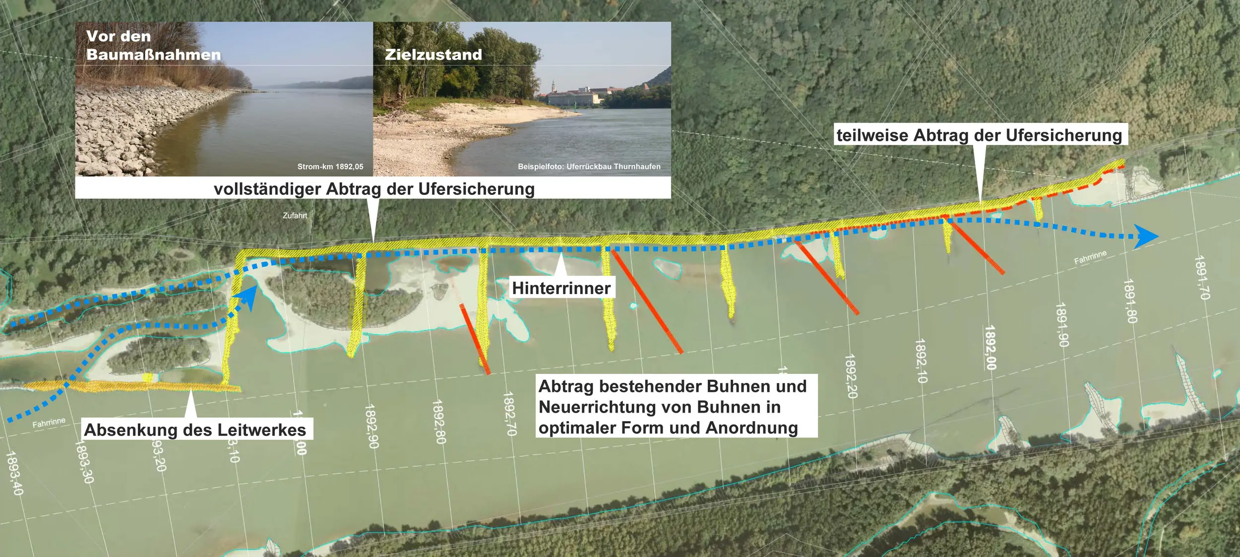 Maßnahmenübersicht zum Pilotprojekt Witzelsdorf, Abtrag bestehender Buhnen und Neuerrichtung, teilweise Abtrag der Ufersicherung, Absenkung des Leitwerkes