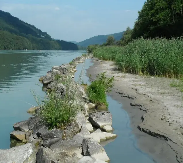 Donauufer in Aschach, demonstration site