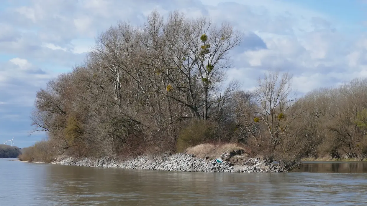 The lower end of the Schwalbeninsel was fixed with riprap - Photo: viadonau