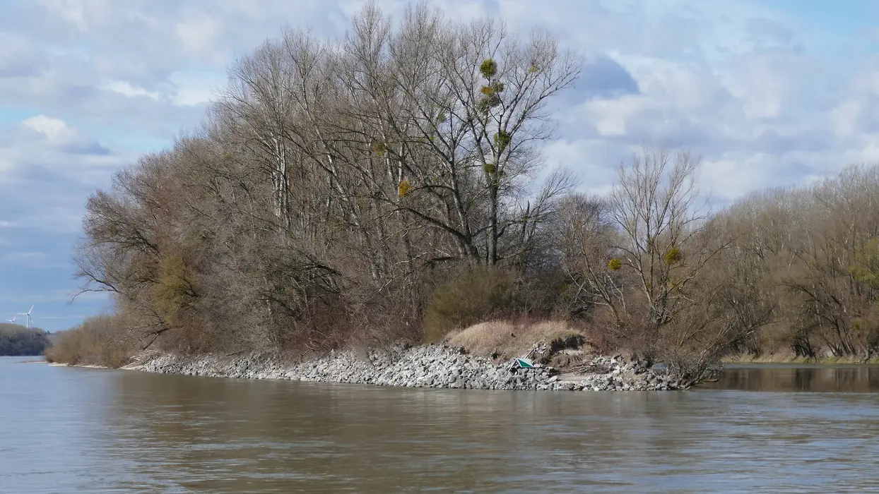 Das untere Ende der Schwalbeninsel war mit Blockwurf befestigt - Foto: viadonau