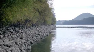 Donauufer gegenüber Hainburg