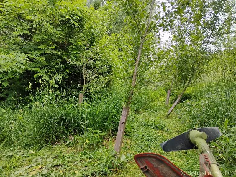 20260530_pritz_freistellen_02.jpg