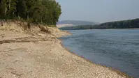 Riverbank restoration