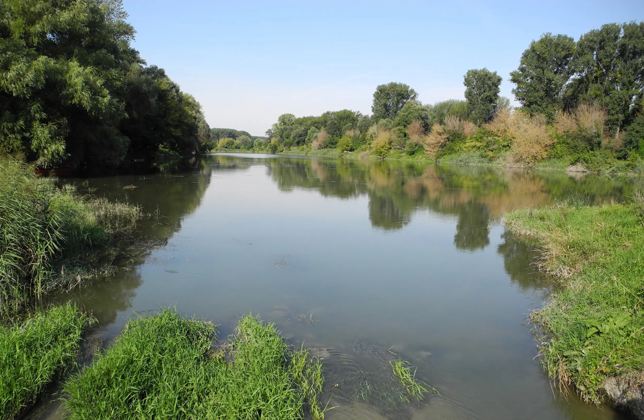 Haslauer Nebenarm, ©viadonau