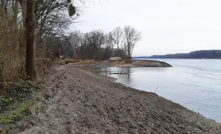 Fertiggestellter Uferbereich an der Donau, im Hintergrund Mündung der Fischa