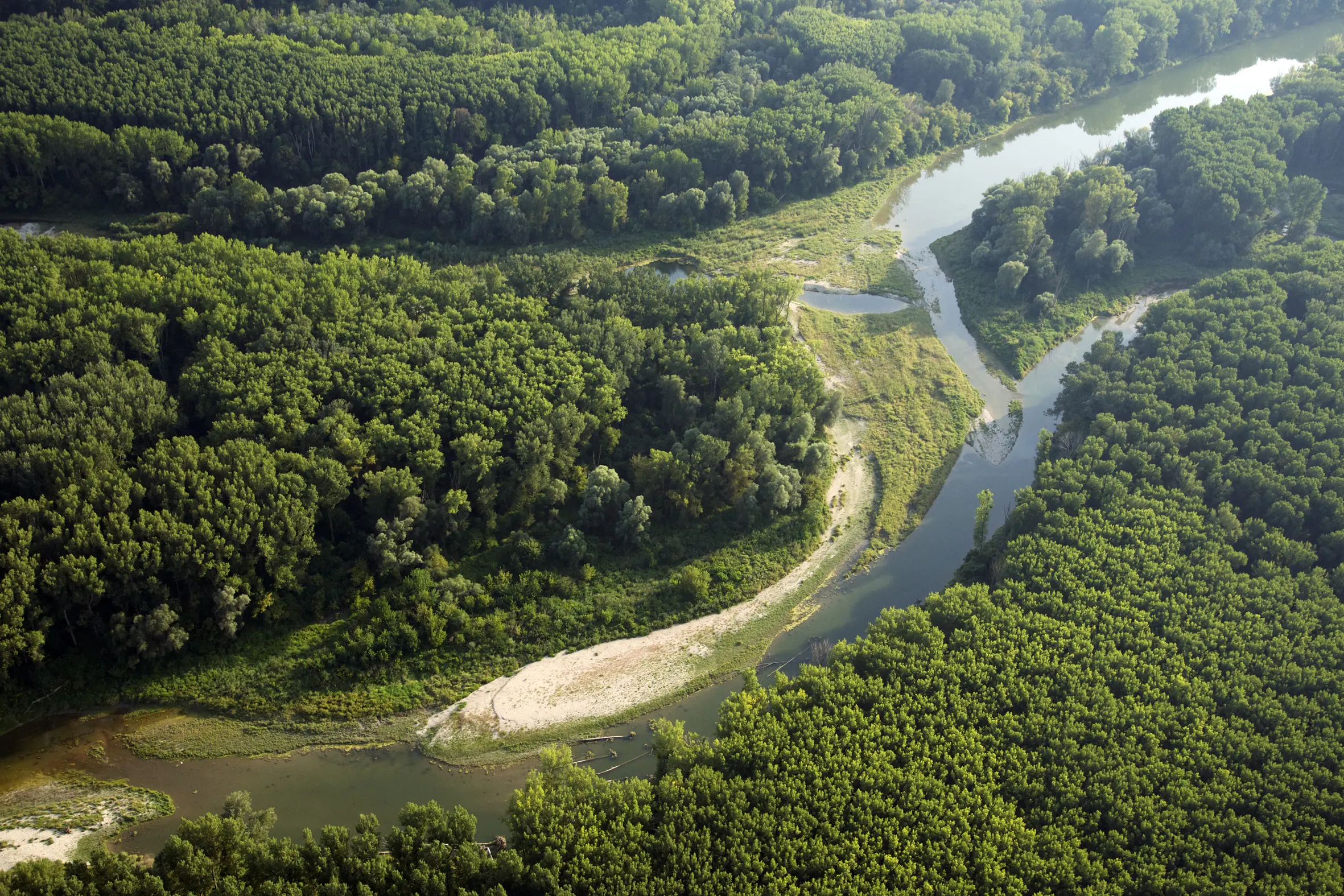 Aerial photograph of a river