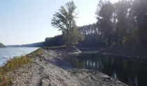 Donau mit Nebengewässer