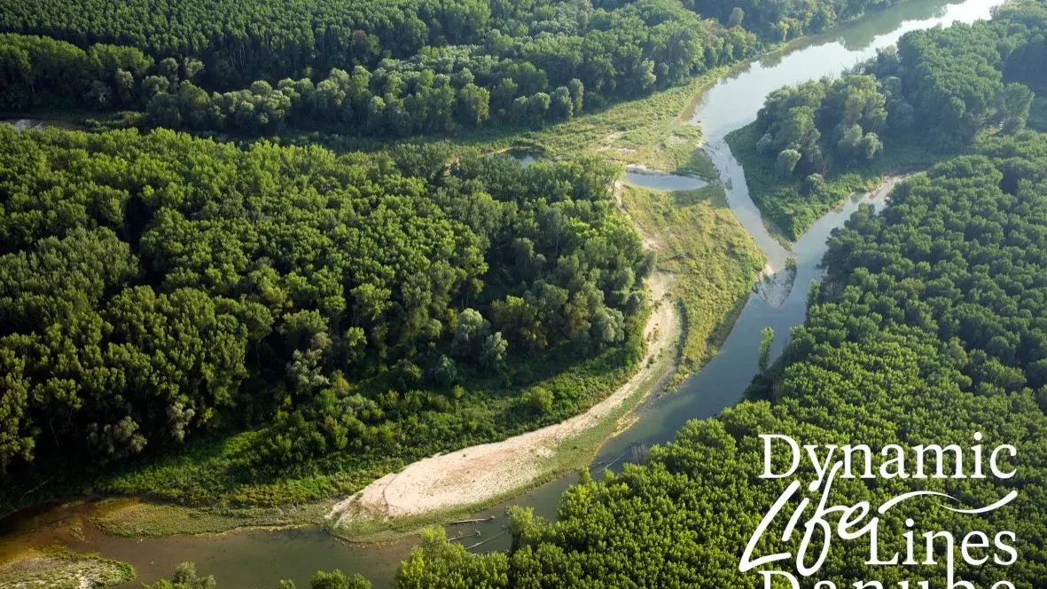 Danube floodplains and project logo dynamic life lines danube