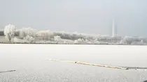 Eisfläche auf Neuer Donau