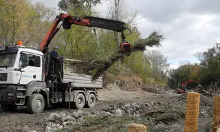 Kran platziert Weidenbüschel am Ufer
