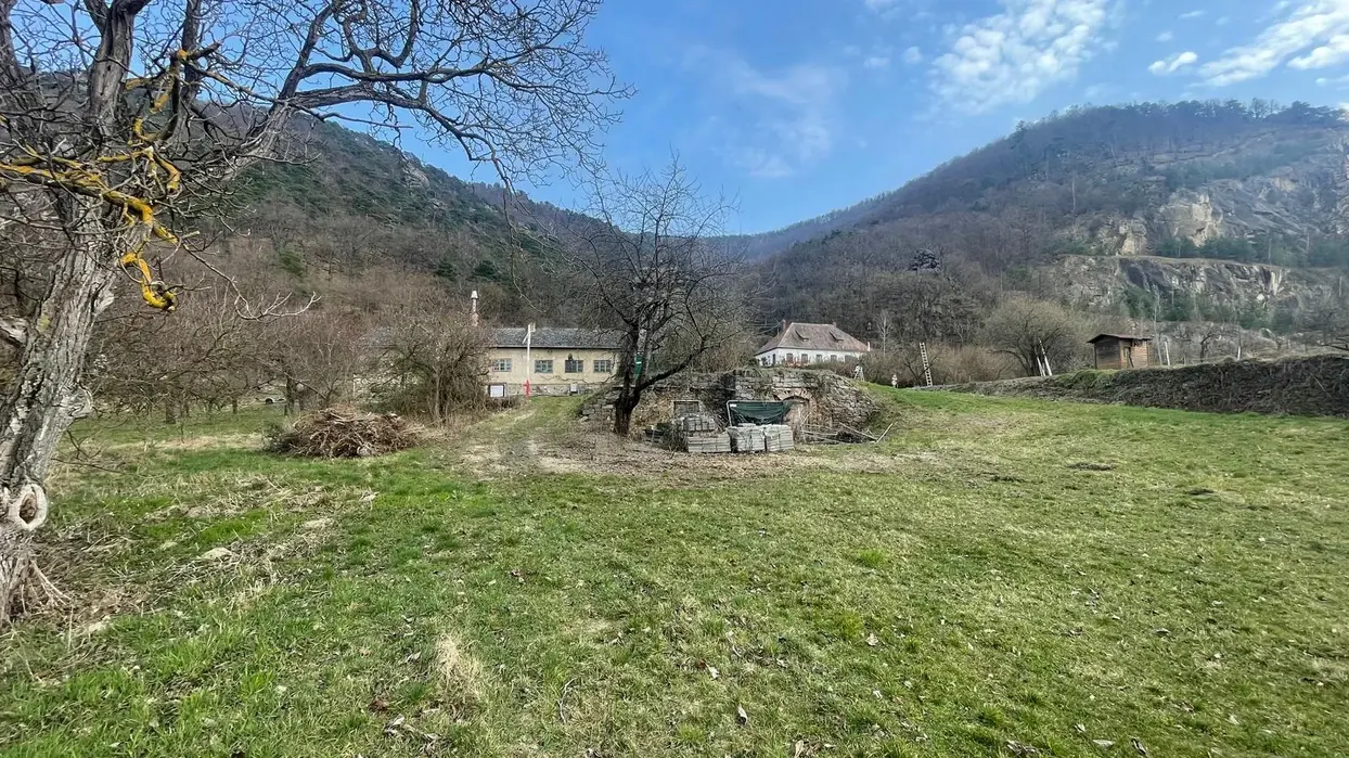 Fläche Obstgarten Kienstock