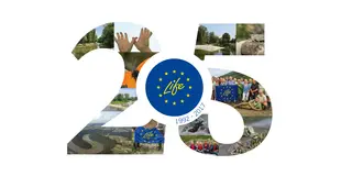 Collage zu 25 Jahren LIFE-Programm