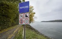 Treppelweg mit Donauufer, im Vordergrund Hinweisschild