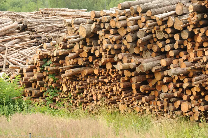 Großer Holzstapel