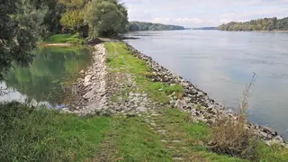 Donauufer