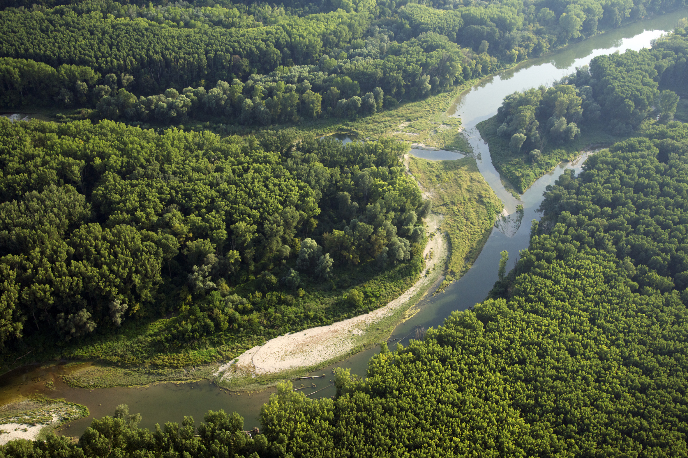 ©Nationalpark Donau-Auen/Kovacs Luftaufnahme Fluss