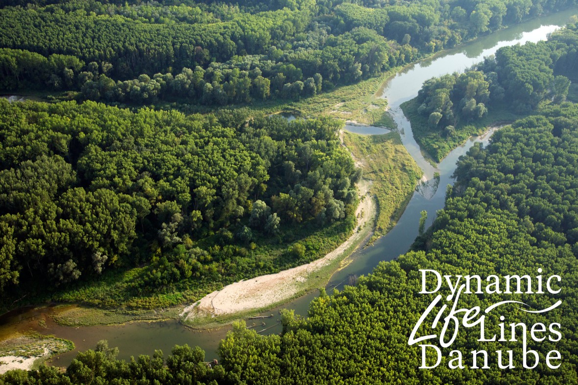 Titelbild Donau-Auen mit Projektlogo